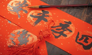 剖析怎么读 剖析怎么读什么意思