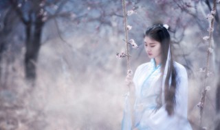 凫凫炊烟怎么读 凫凫炊烟的拼音