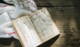 拘束怎么读 拘束怎么读 拼音