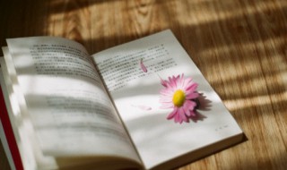 白反怎么读（白反的拼音）