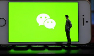 微信群怎么投票 微信怎么组织投票