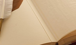 齿的组词（齿的组词和拼音）