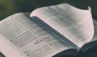 彤组词（彤组词二年级）