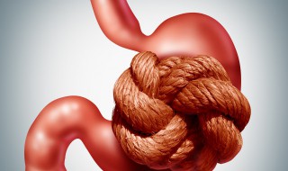 肠胃不好吃什么可以调理（肠胃不好吃什么可以调理宝宝）