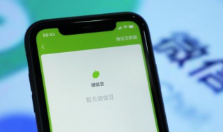 微信怎么关闭免密支付功能（华为微信怎么关闭免密支付功能）