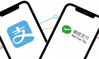 微信群号怎么加入群（微信群号怎么加入群组）