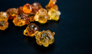 桃胶制作方法桃胶的采集 怎么采桃胶,制作桃胶