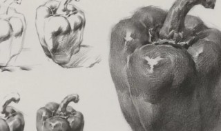 速写线条的练习方法 速写线条的表现技法