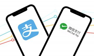 微信交易限制怎么解除 微信交易限制怎么解除不用刷脸