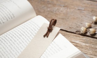 二十四桥仍在波心荡冷月无声的意思 24桥仍在波心荡下一句是什么