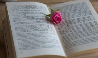 愿天上人间占得欢娱年年今夜的意思 愿天上人间,占得欢娱,年年今日