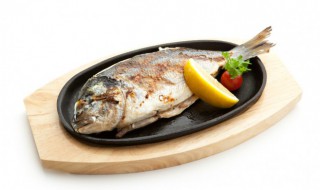 牛乳炖鲤鱼的做法 牛奶炖鲤鱼