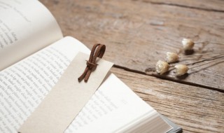 过江千尺浪入竹万竿斜的意思 过江千里浪入竹万竿斜的意思