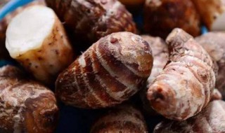 香芋保存方法 香芋怎样保存才放得久?