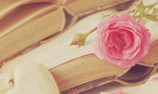 鸟宿池边树僧敲月下门的意思 鸟宿池边树僧敲月下门的意思提凝幽居