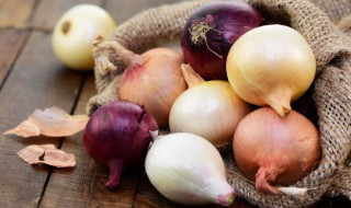 红葱头怎么留种子 红葱头怎么留种子视频