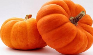 南瓜怎么留种子 南瓜留种子方法