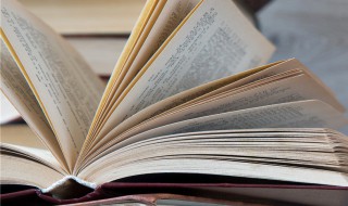 些小吾曹州县吏一枝一叶总关情的意思 些小吾曹州县吏一枝一叶总关情的解释