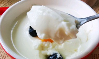 香草牛奶布丁的做法 香草牛奶布丁的做法大全