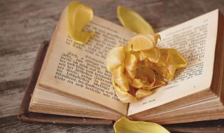 感君缠绵意系在红罗襦的意思 君知妾有夫赠妾双明珠感君缠绵意系在红罗襦什么意思