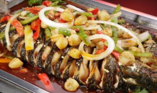 山西名菜鲜奶烤鱼的做法（烤鱼配牛奶）