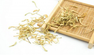 金银花怎么剪枝（金银花怎么剪枝种植）