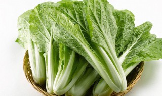 小白菜怎么洗才干净（小白菜怎么洗才干净视频教程）