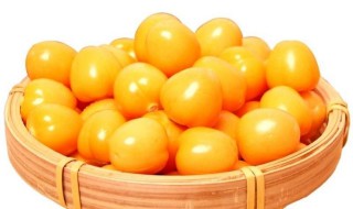 黄姑娘果怎么留种子（黄姑娘种子怎么发芽）