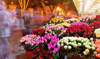 唐菖蒲开花后怎么处理 唐菖蒲开花后应该怎么处理