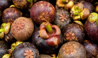 山竹保鲜的技术 山竹保鲜的技术要求