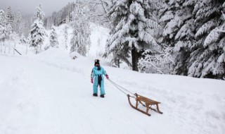 清纯好听有雪字的网名 清纯好听有雪字的网名顺口两字