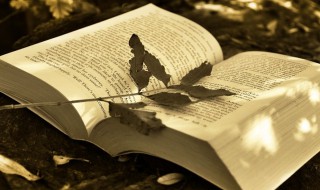 物议是什么意思（物议是什么意思古代）