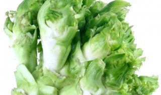 儿菜是什么菜呀（儿菜是什么菜图片）