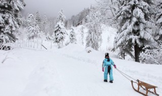 降雪量等级（降雪量等级划分标准）