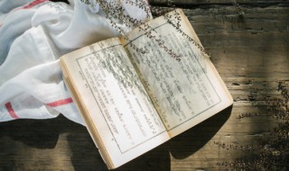 干橹是什么意思（橹是什么意思啊）