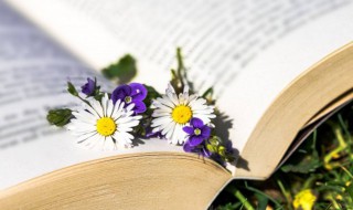 莫名是什么意思（对牛弹琴是什么意思）