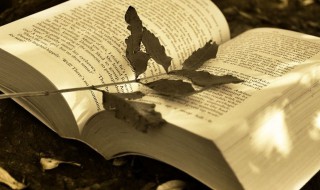 烨然是什么意思（出之烨然的烨然是什么意思）