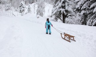 雪在车上不清理伤车吗 车上有雪需要及时除去吗