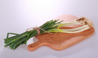 怎样栽葱 怎样种葱种视频教程