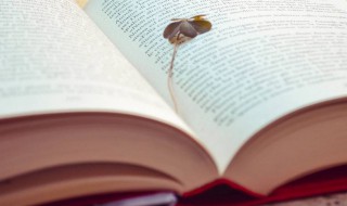 法外施仁的意思 法外施仁的意思是什么