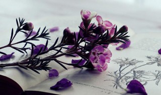 发财致富的意思（发财致富什么）