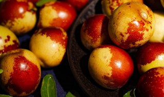 冬枣嫁接的时间和方法（冬枣的嫁接技术要点）