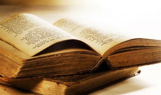 琵琶旧语的意思（遗恨琵琶旧语的意思）