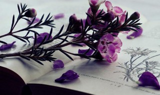 隐约其词的意思 隐约其词的意思和造句