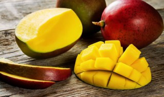 芒果水培方法 芒果 水培