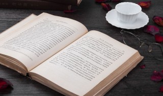 不可限量的意思（前途不可限量的意思）