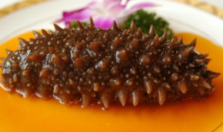 海参圈降温方法（海参圈底热怎么处理）