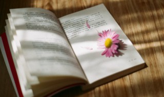 恶作剧的意思 恶作剧的意思是什么意思