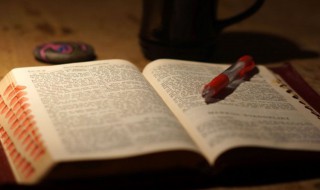 回升是什么意思（价格回升是什么意思）