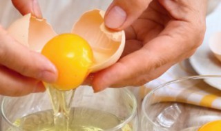 挑选种蛋的简单方法 怎样挑选种蛋